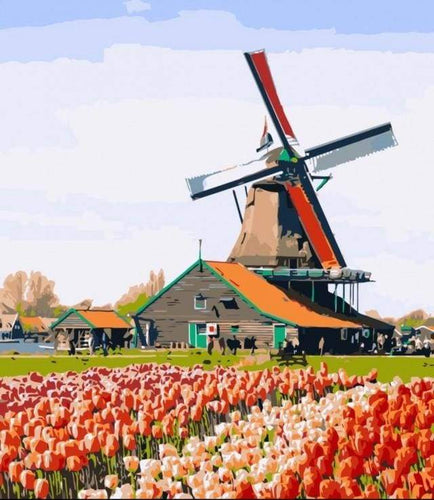 Schilderen op Nummer - Windmolen en bloemen