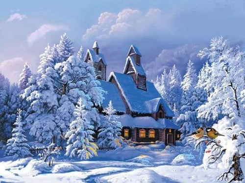Schilderen op Nummer - Winters uitzicht