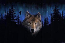 Afbeelding in Gallery-weergave laden, Schilderen op Nummer - Wolf bij nacht