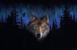 Schilderen op Nummer - Wolf bij nacht