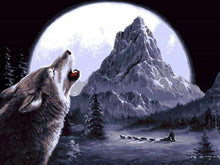 Afbeelding in Gallery-weergave laden, Schilderen op Nummer - Wolf huilt