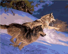 Afbeelding in Gallery-weergave laden, Schilderen op Nummer - Wolven jagen