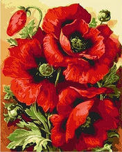 Afbeelding in Gallery-weergave laden, Schilderen op Nummer - Prachtige rode bloemen