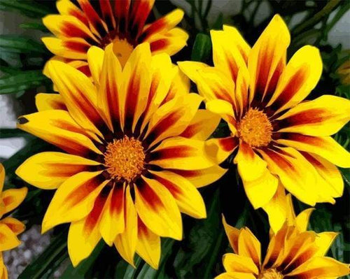 Schilderen op Nummer - Gele bloemen