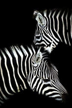 Afbeelding in Gallery-weergave laden, Schilderen op Nummer - Zebra wit en zwart